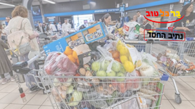 קניות. תמונת אילוסטרציה, צילום: יונתן זינדל/פלאש 90